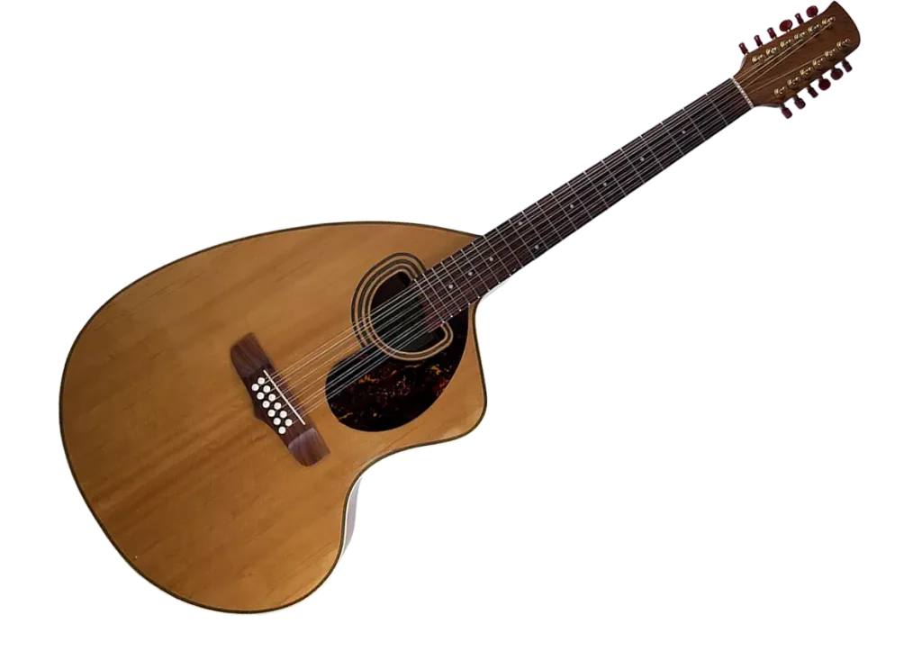Giannini Craviola 12 String from 1994