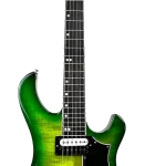 Gibson Victory Floyd Rose - Iguana Burst